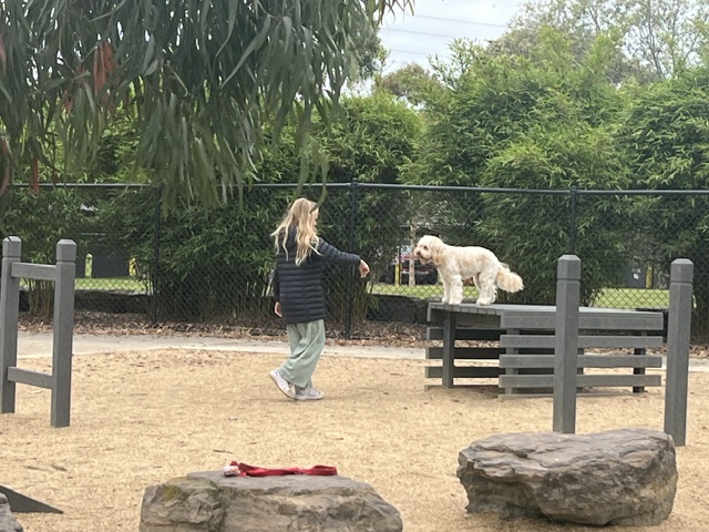 img 3516